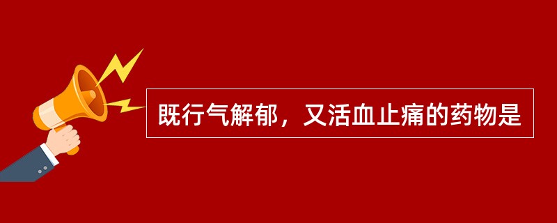 既行气解郁，又活血止痛的药物是