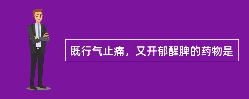 既行气止痛，又开郁醒脾的药物是