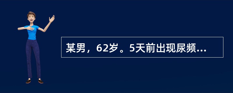 某男，62岁。5天前出现尿频.尿急.尿痛.腰痛.小腹坠胀。证属下焦湿热所致的热淋。宜选用的中成药是