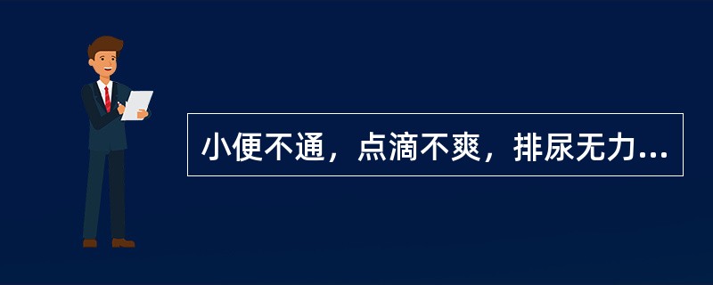 小便不通，点滴不爽，排尿无力，神气怯弱，腰酸无力，中医诊断为