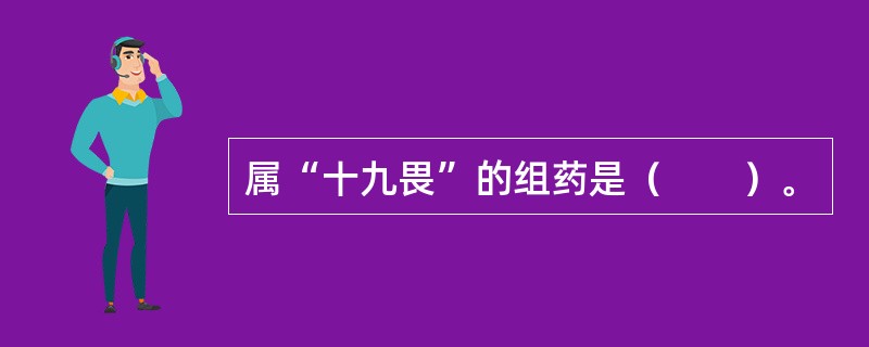 属“十九畏”的组药是（　　）。