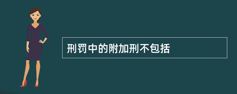 刑罚中的附加刑不包括