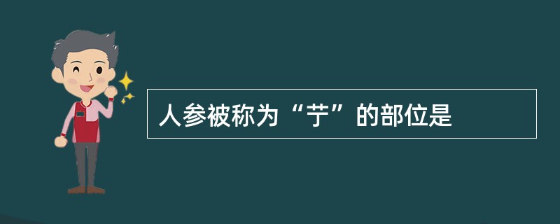 人参被称为“艼”的部位是