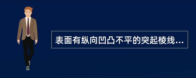 表面有纵向凹凸不平的突起棱线13～20条的药材是（　　）。