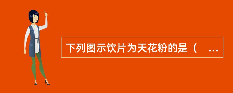 下列图示饮片为天花粉的是（　）。