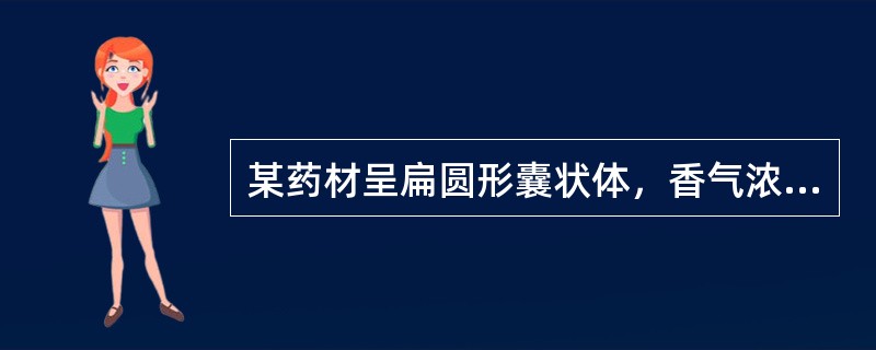 某药材呈扁圆形囊状体，香气浓烈，具开窍醒神，活血通经，消肿止痛之功效。该药材主产于