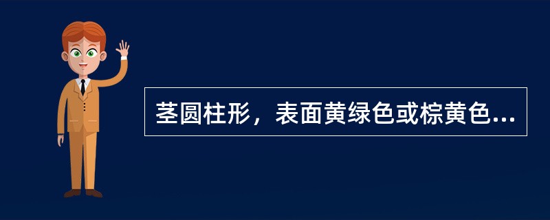 茎圆柱形，表面黄绿色或棕黄色，具纵棱线，断面中部有髓，叶互生的中药材是