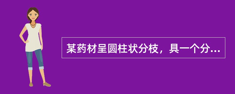 某药材呈圆柱状分枝，具一个分枝者习称“二杠”，具两个分枝者习称“三岔”。该药材是