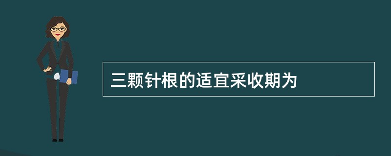 三颗针根的适宜采收期为