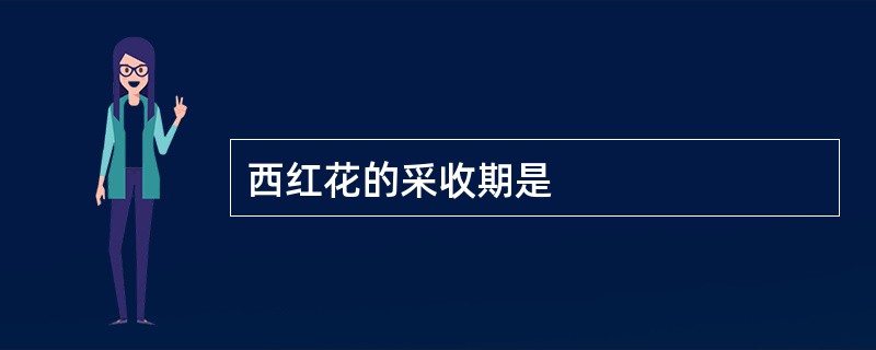 西红花的采收期是