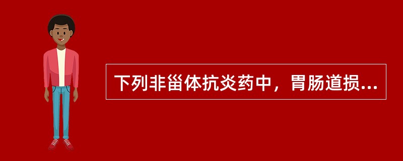 下列非甾体抗炎药中，胃肠道损害相对较大的为