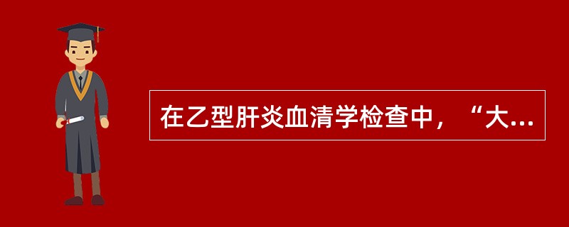 在乙型肝炎血清学检查中，“大三阳”是指