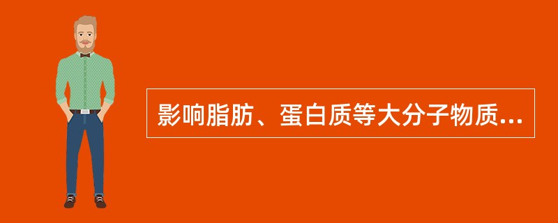 影响脂肪、蛋白质等大分子物质转运，可使药物避免肝脏首过效应而影响药物分布的因素是（　）。