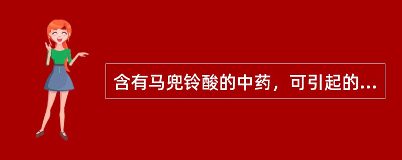 含有马兜铃酸的中药，可引起的典型药源性疾病是