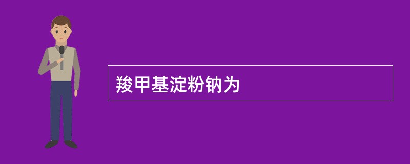 羧甲基淀粉钠为