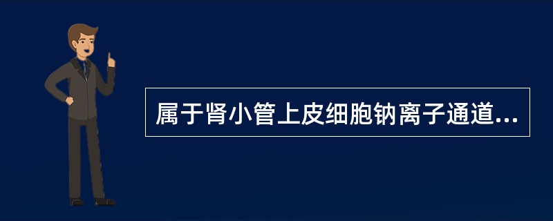 属于肾小管上皮细胞钠离子通道抑制剂的是