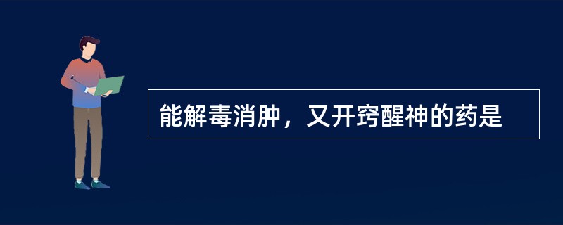 能解毒消肿，又开窍醒神的药是