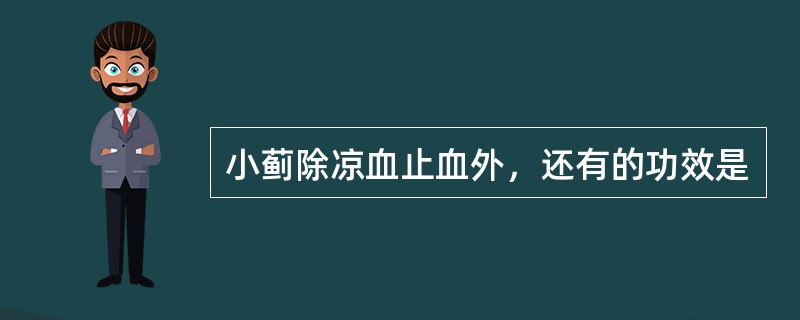 小蓟除凉血止血外，还有的功效是