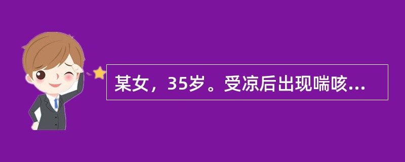 某女，35岁。受凉后出现喘咳气逆，呼吸急促，胸部胀闷，痰多色白稀薄而带泡沫，兼头痛鼻塞，无汗，恶寒，发热；舌苔薄白而滑，脉浮紧。宜选用的中药是（　）。