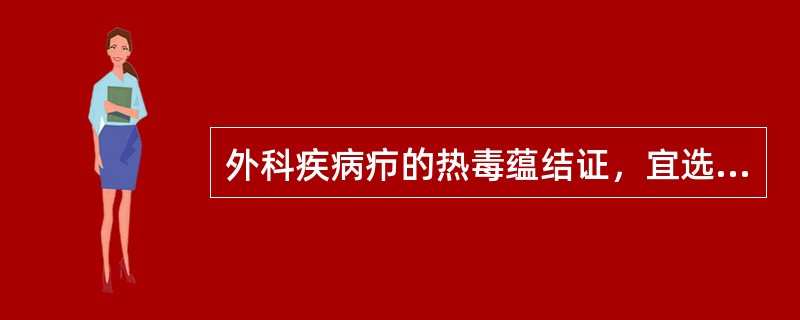 外科疾病疖的热毒蕴结证，宜选用的方剂是