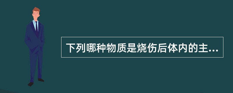 下列哪种物质是烧伤后体内的主要能量来源？（　　）