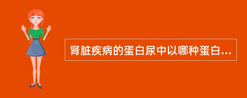 肾脏疾病的蛋白尿中以哪种蛋白质为主？（　　）