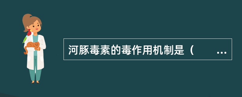 河豚毒素的毒作用机制是（　　）。