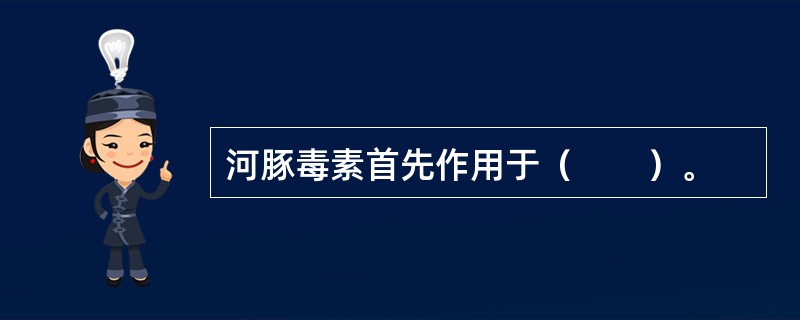 河豚毒素首先作用于（　　）。