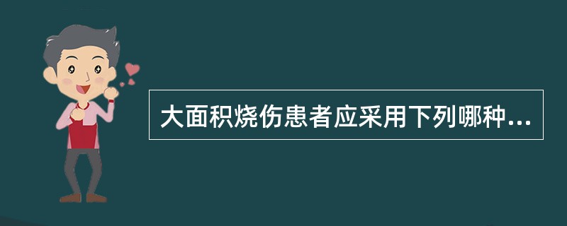 大面积烧伤患者应采用下列哪种膳食？（　　）