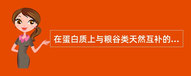 在蛋白质上与粮谷类天然互补的食品是（　　）。