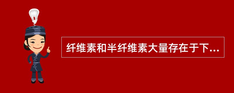 纤维素和半纤维素大量存在于下列哪种物质中？（　　）