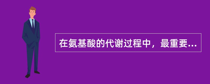 在氨基酸的代谢过程中，最重要的脱氨基方式是（　　）。