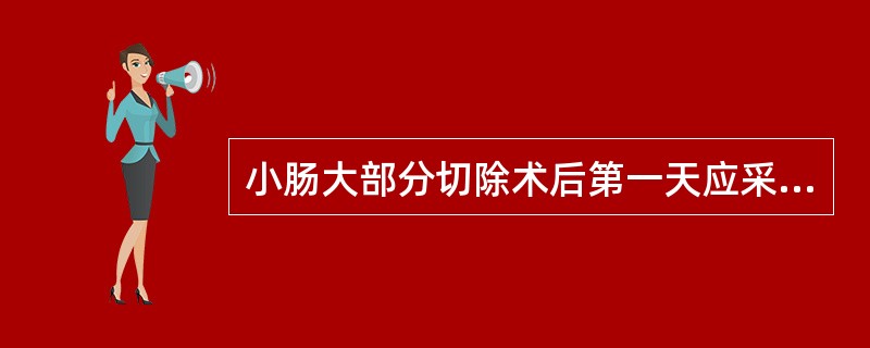 小肠大部分切除术后第一天应采用下列哪种营养支持方式？（　　）