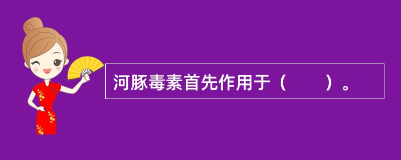 河豚毒素首先作用于（　　）。