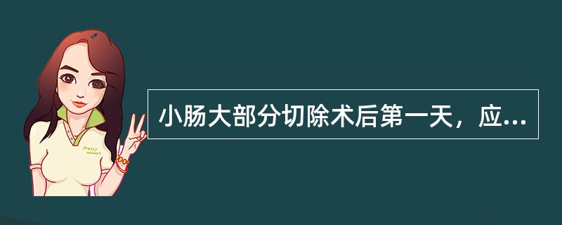 小肠大部分切除术后第一天，应采取哪种营养支持措施？（　　）