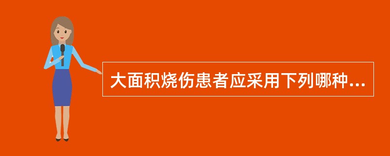 大面积烧伤患者应采用下列哪种膳食？（　　）