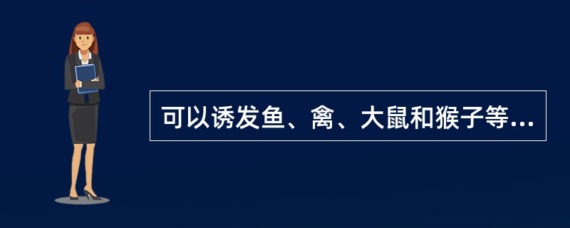 可以诱发鱼、禽、大鼠和猴子等多种动物肝癌的真菌毒素是（　　）。