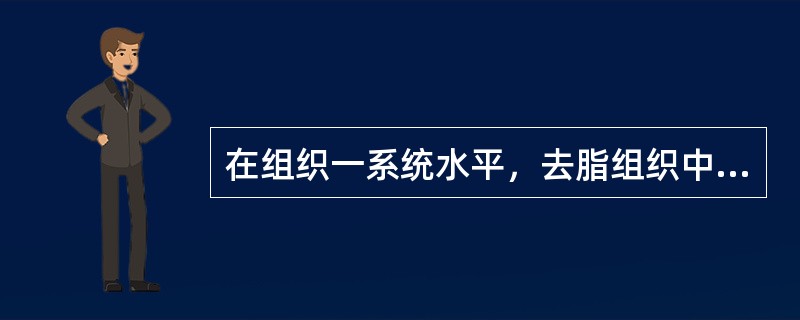 在组织一系统水平，去脂组织中所占比例最大的部分是（　　）。