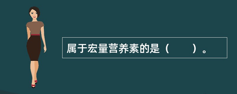 属于宏量营养素的是（　　）。