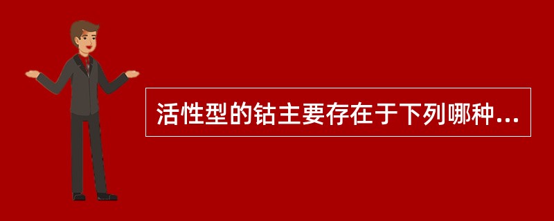 活性型的钴主要存在于下列哪种物质中？（　　）