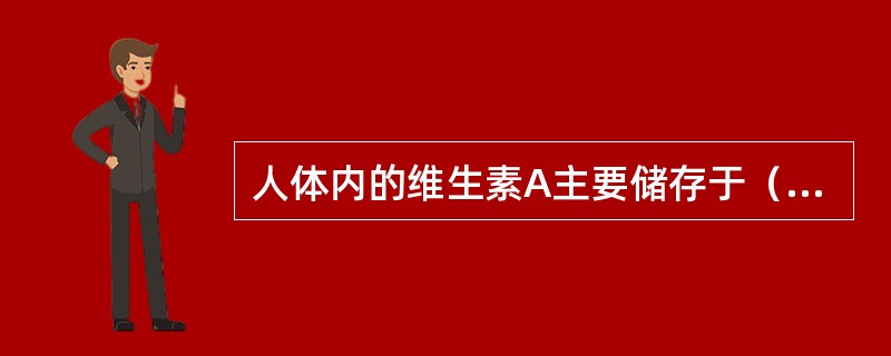 人体内的维生素A主要储存于（　　）。