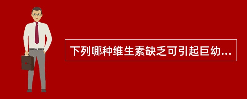 下列哪种维生素缺乏可引起巨幼红细胞贫血？（　　）