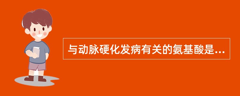 与动脉硬化发病有关的氨基酸是（　　）。