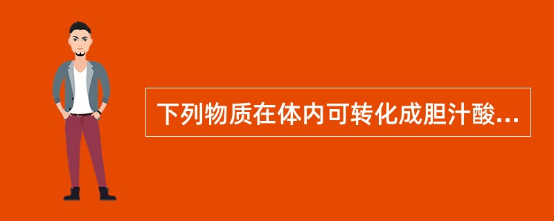 下列物质在体内可转化成胆汁酸的是（　　）。
