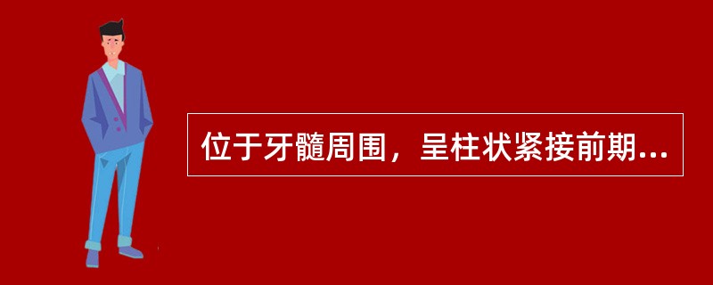 位于牙髓周围，呈柱状紧接前期牙本质排列成一层，其细胞顶端有一细长的突起伸入牙本质小管内的是（　　）。