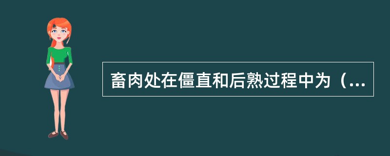 畜肉处在僵直和后熟过程中为(  )。 畜肉处在僵直和后熟过程中为(  )。