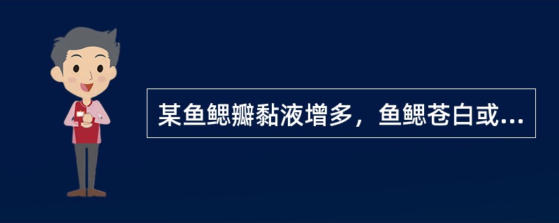 某鱼鳃瓣黏液增多，鱼鳃苍白或出现点状充血、出血。鳃瓣边缘糜烂和缺损，整个鳞片呈青灰色，无食欲，呼吸困难，由此可以推断该病为（　　）。