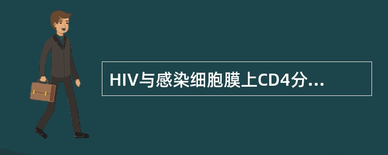 HIV与感染细胞膜上CD4分子结合的病毒刺突蛋白是（　　）。