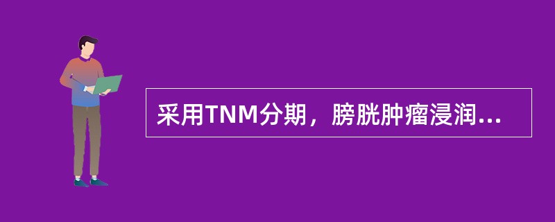 采用TNM分期，膀胱肿瘤浸润浅肌层的分期是（　　）。