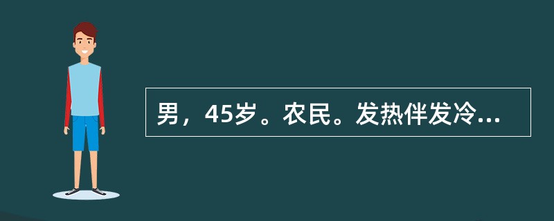 男，45岁。农民。发热伴发冷、头痛、全身痛、乏力4天，咳嗽、血痰及咯血1天于8月25日来诊。当地正值洪水灾害，有数十人发病。查体：T39℃，神志清，球结膜充血，腓肠肌压痛，腹股沟淋巴结蚕豆大，最有可能